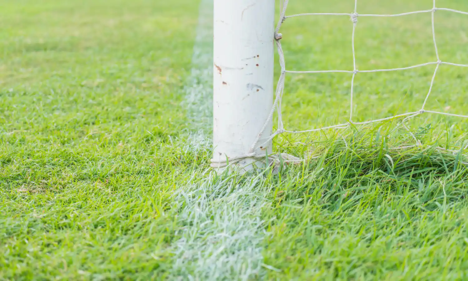 limpieza de centros deportivos
